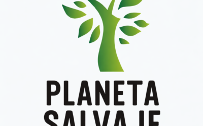 Comenzamos nuestro proyecto con ilusión